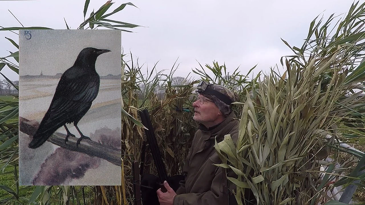 Jagen - De Casus Van De College Kraaien.