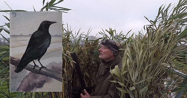 Jagen - De Casus Van De College Kraaien.