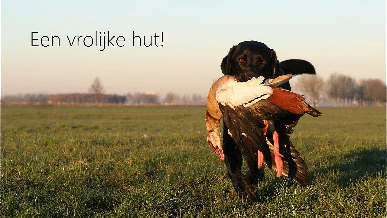 Jagen - Een Vrolijke Hut! Deel 1 En 2.