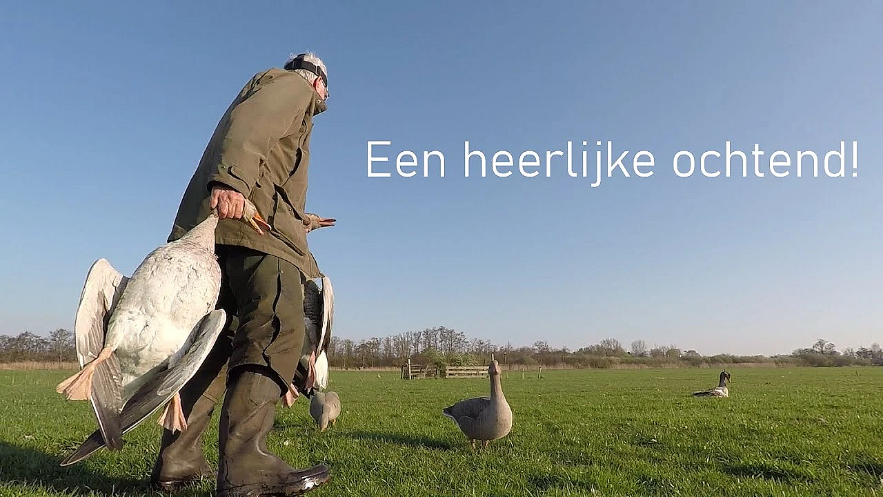 Jagen - Een Heerlijke Ochtend!