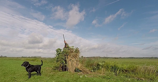 Jagen - Brunchen in Zeeland.
