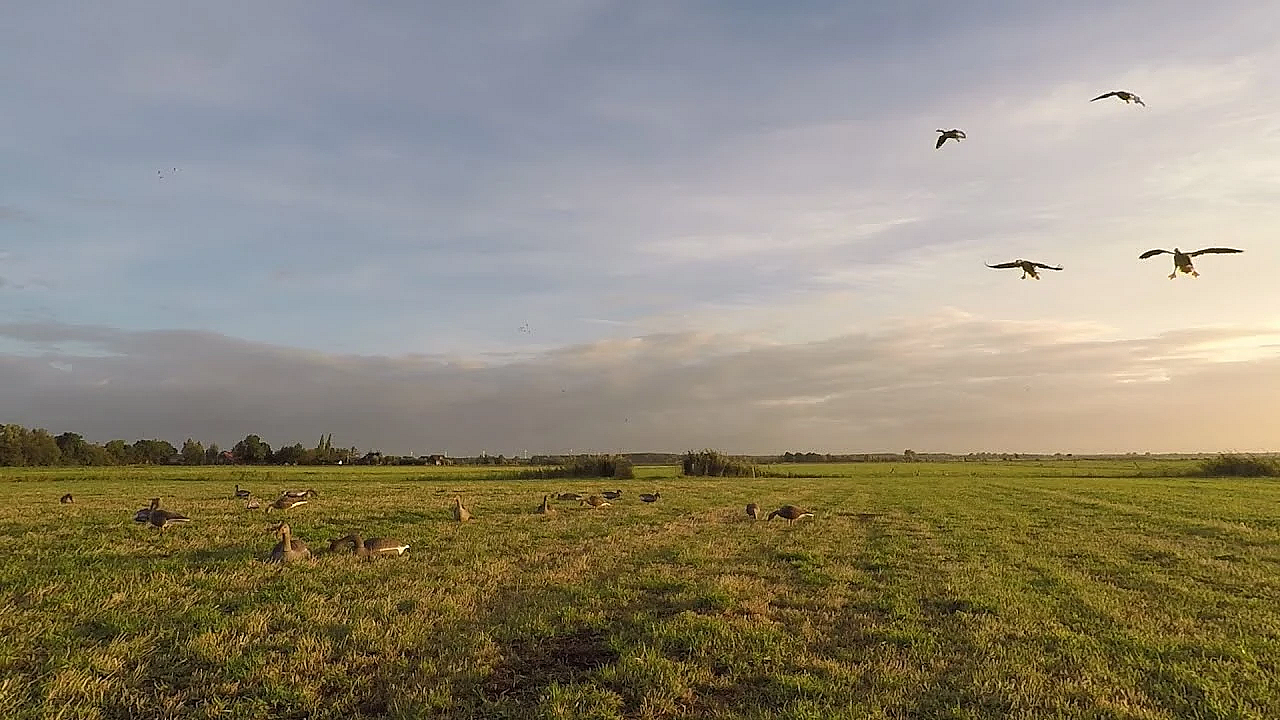 Jagen -  't Is Weer Voorbij Die Mooie Zomer.