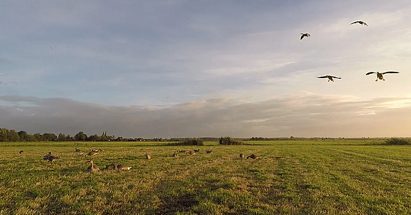 Jagen -  't Is Weer Voorbij Die Mooie Zomer.