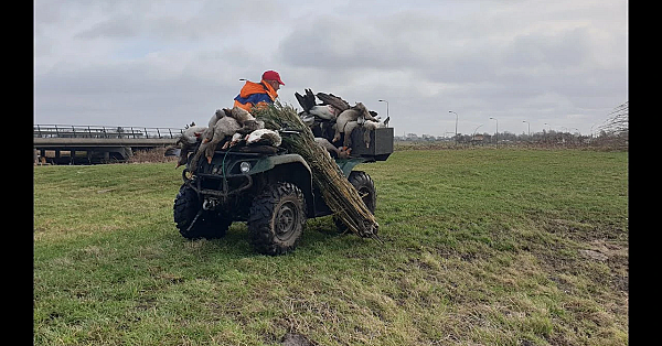Jagen - Droomvlucht.