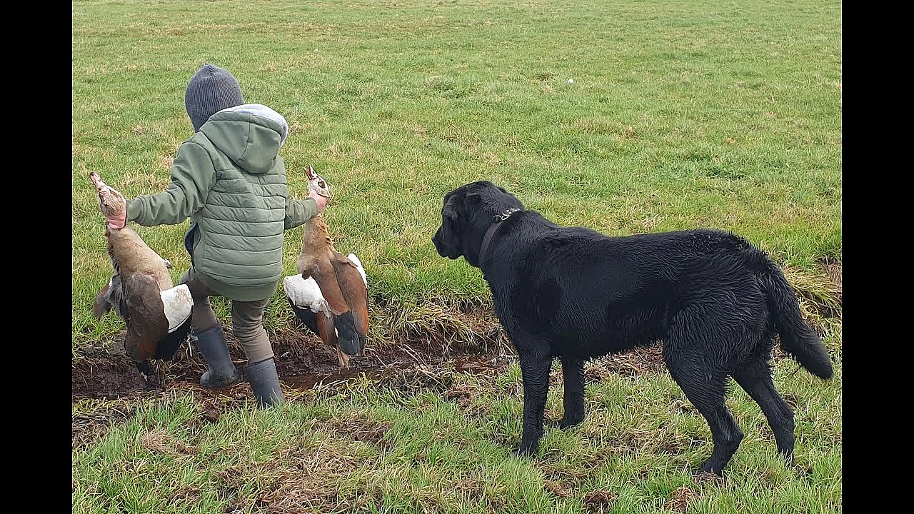 Jagen - Van Het Schipholveld. Aflevering 5