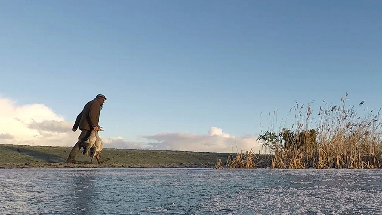 Jagen - Ganzen Jagen Zonder Hond.