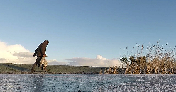 Jagen - Ganzen Jagen Zonder Hond.