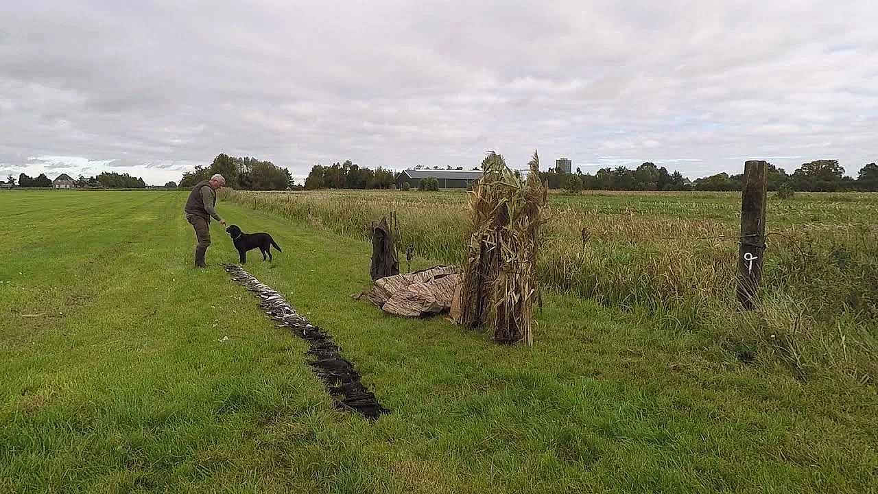Jagen - Over Houtduiven, Kraaien En Een Unieke Tentoonstelling.