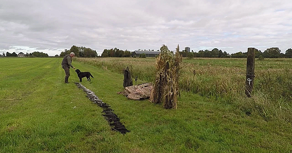 Jagen - Over Houtduiven, Kraaien En Een Unieke Tentoonstelling.