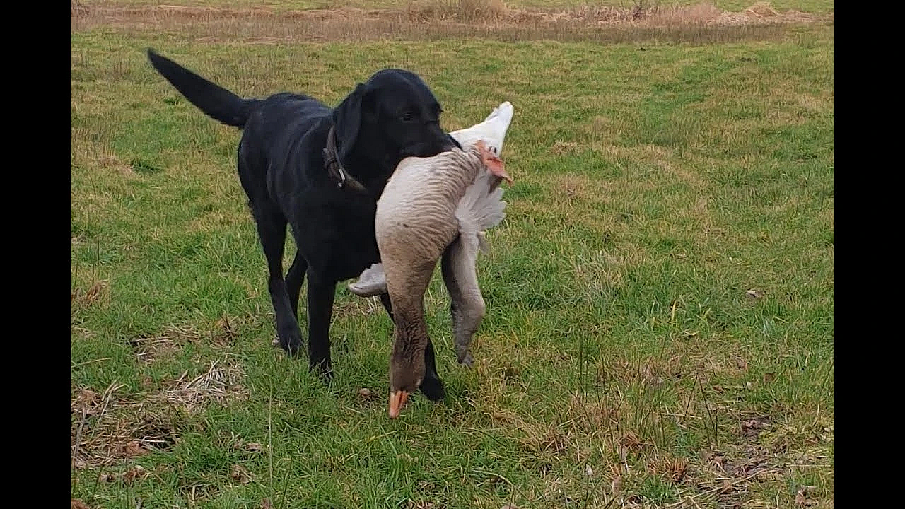 Jacht - De Laatste Dag