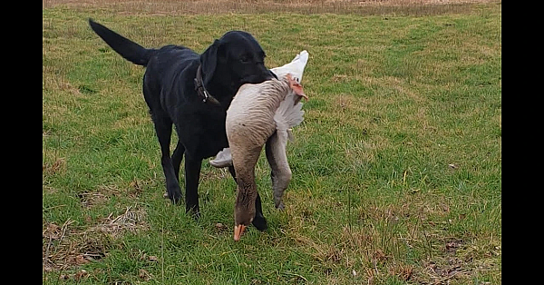 Jacht - De Laatste Dag