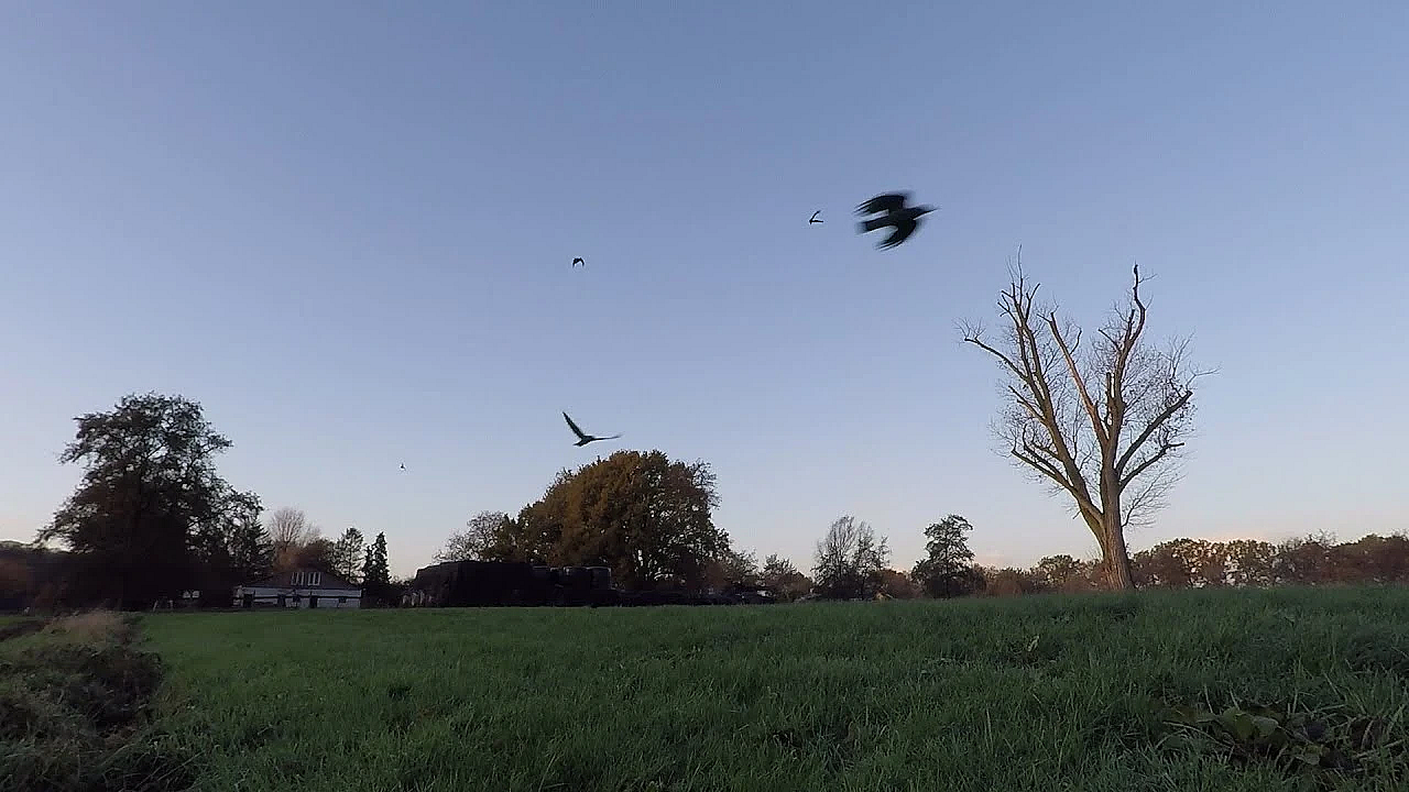 Jagen - Portie Voor Peter.