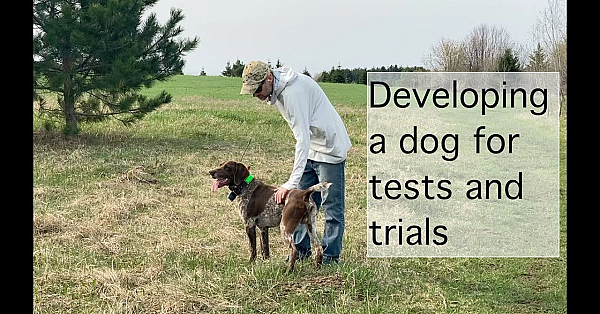Setting And Running A Bird Course For Hunt Tests And Field Trials