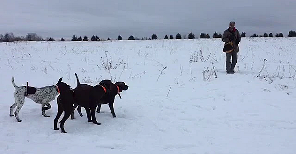 Jazz, Sam &amp; Jesse