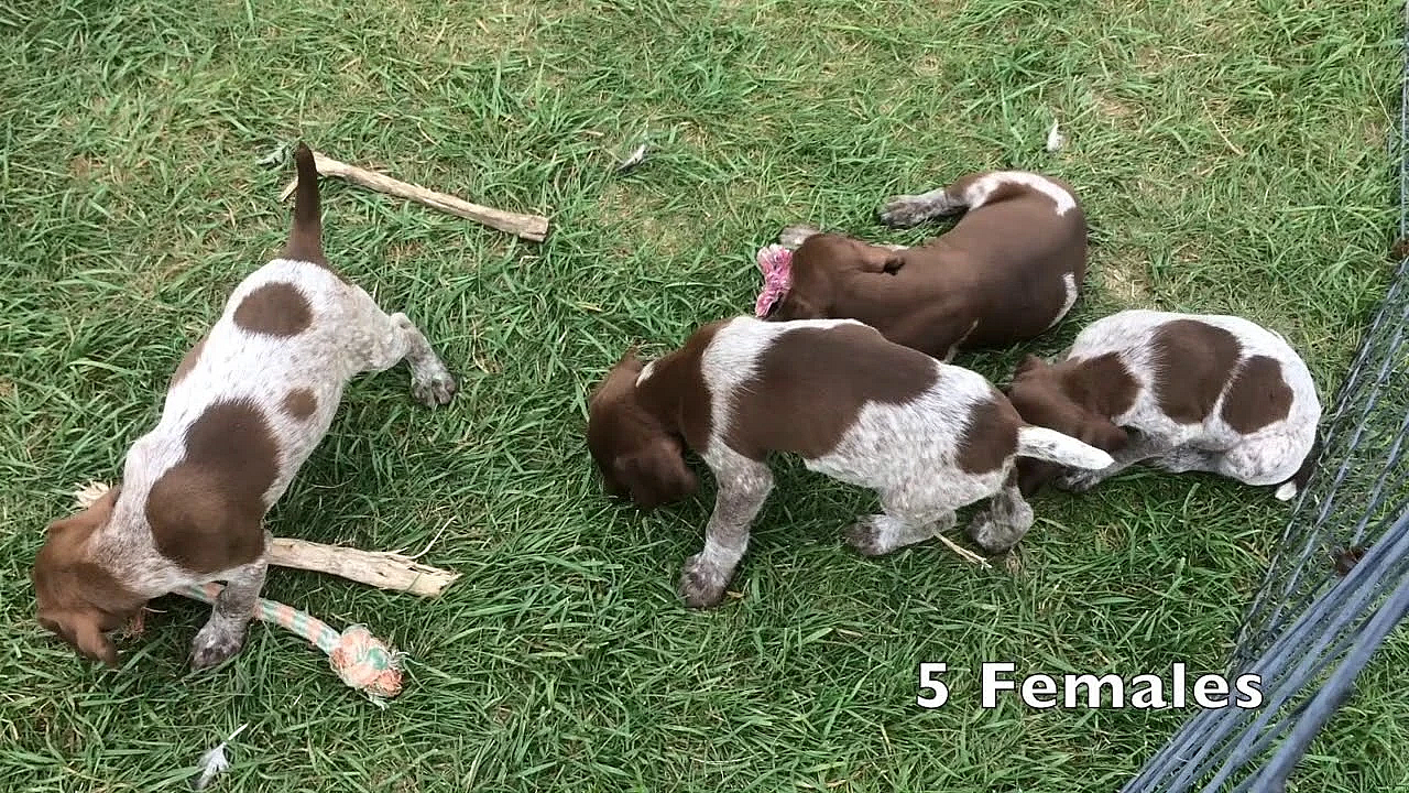 Jill X Grouser 7-27-18