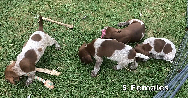 Jill X Grouser 7-27-18