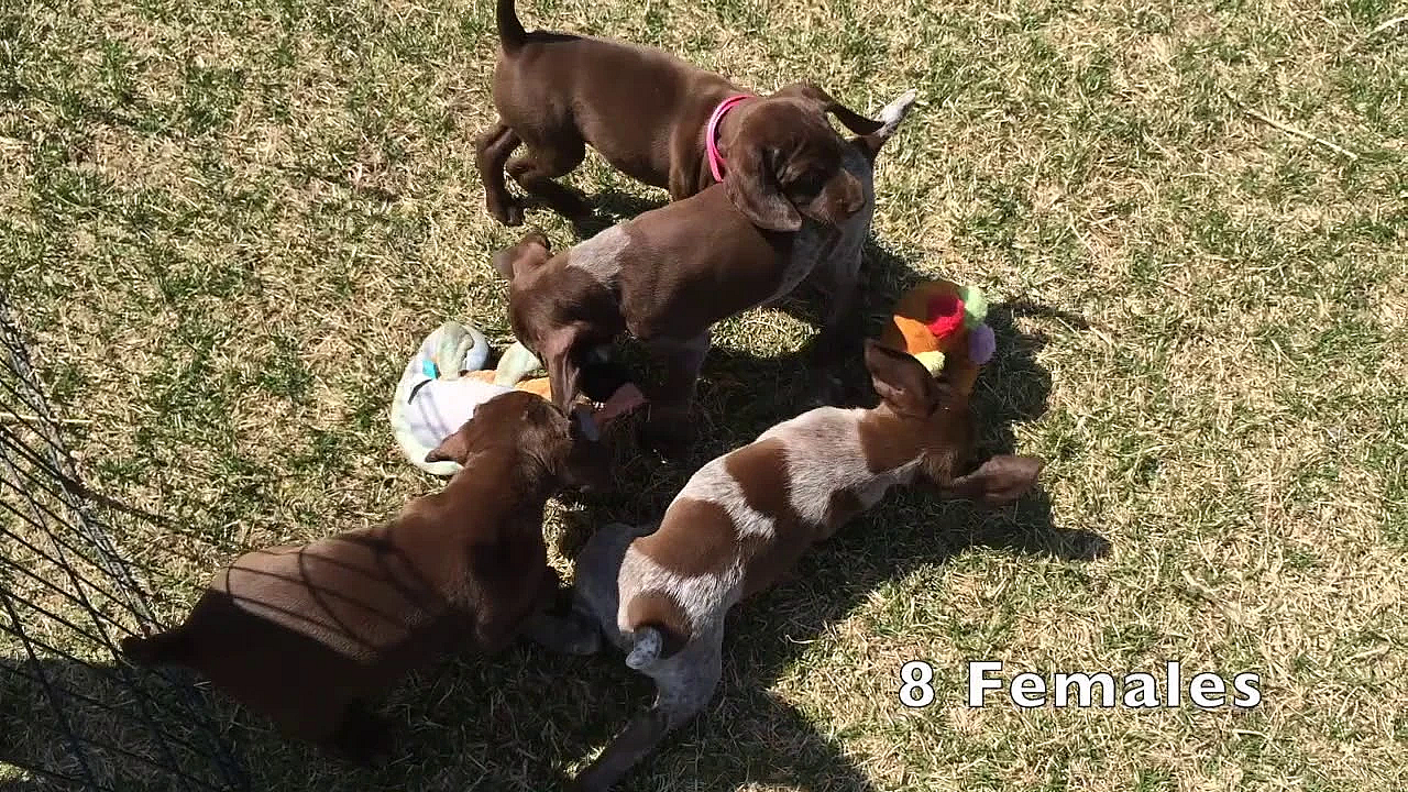 Mandy X Grouser 2019