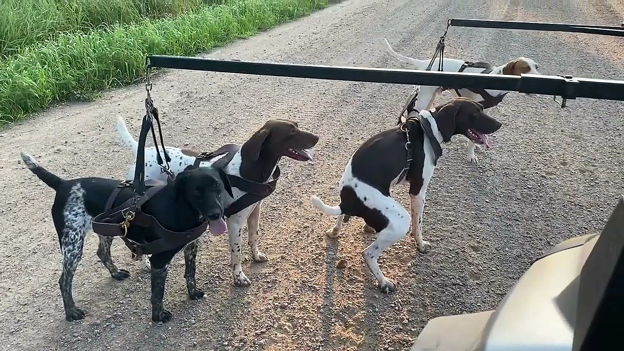 Roading. Give The Energy Some Place To Go And Keep Them Strong.