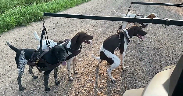 Roading. Give The Energy Some Place To Go And Keep Them Strong.