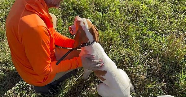 Easy Way To Introduce Gunfire To Your Puppy