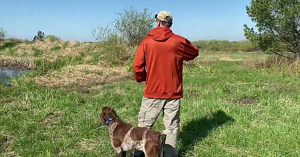 Grouser - Finished Gun Dog - Master Hunter