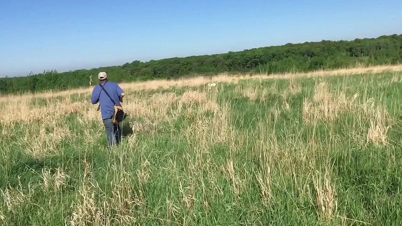 Wc Sarge (trained Dog)