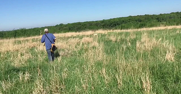 Wc Sarge (trained Dog)