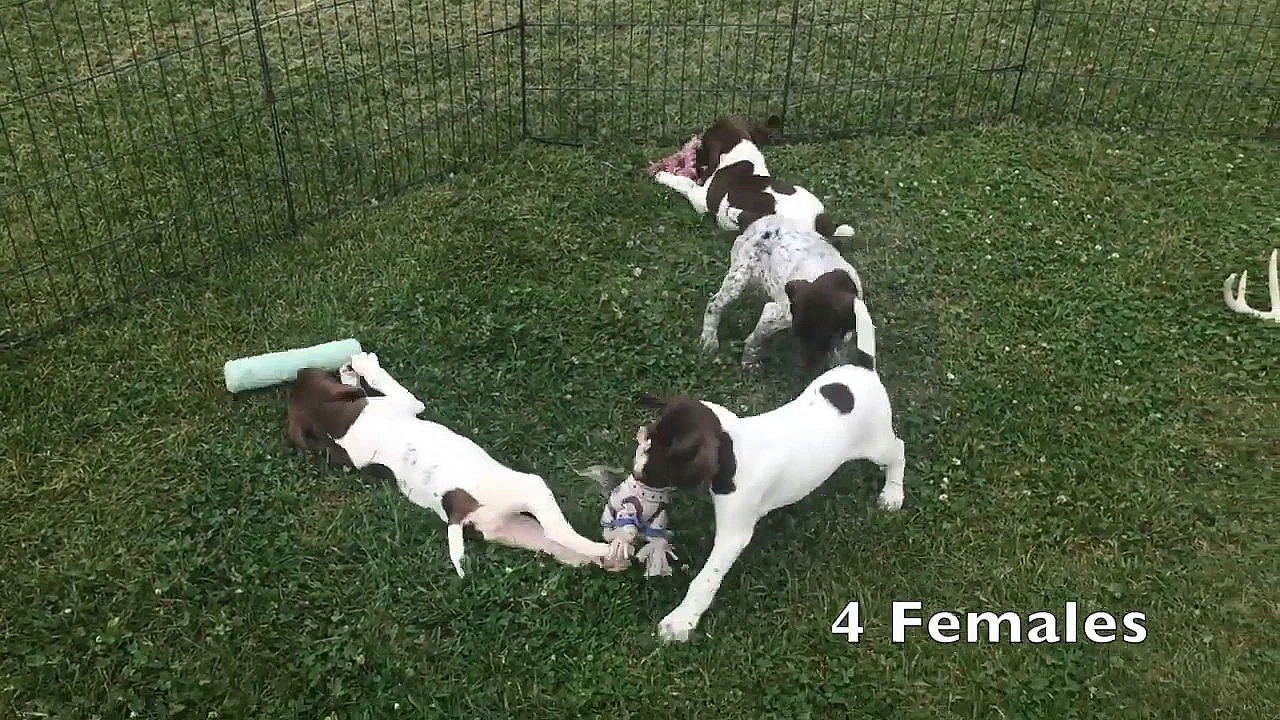 Berta X Grouser 6/21/19