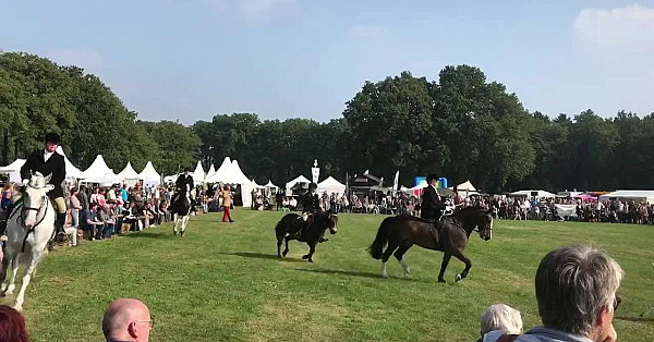 Jacht en buitenleven 2023
