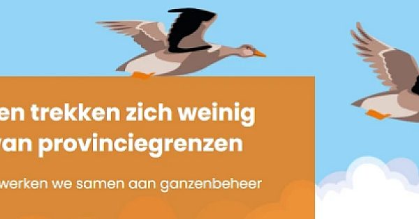 Ganzen op de Wildlijst