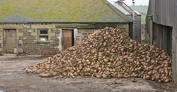 Bieten