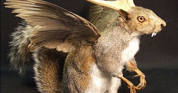 Wolpertinger