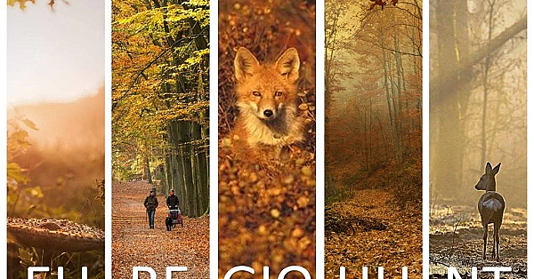 Euregiohunt opendeurdagen