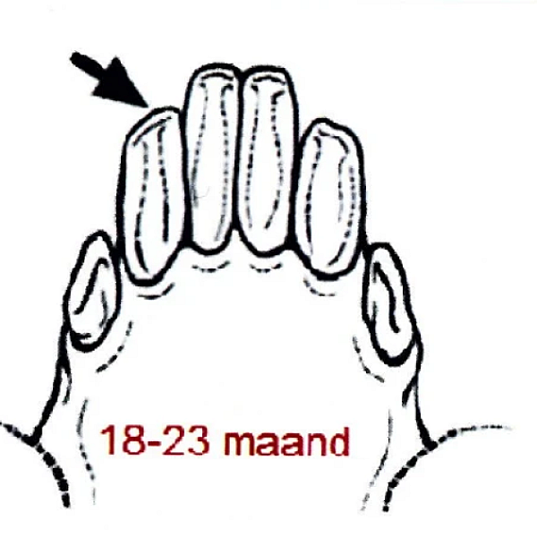 Gebitten, gebed, gebeden