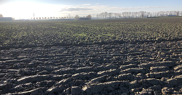 Is jagen gevaarlijk? (7), Staalhagel