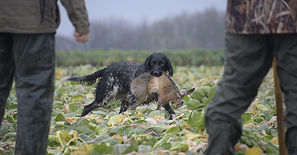 Jager worden, kwestie van nature, nurture of misschien ook cursus?