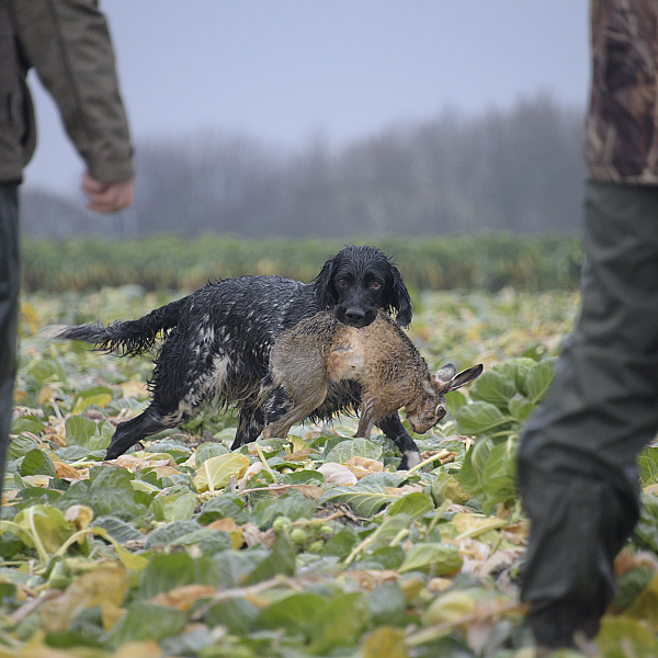 Jager worden, kwestie van nature, nurture of misschien ook cursus?