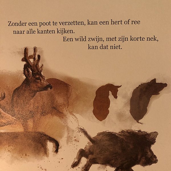 Je moet niet alleen kijken, je moet het ook zien.