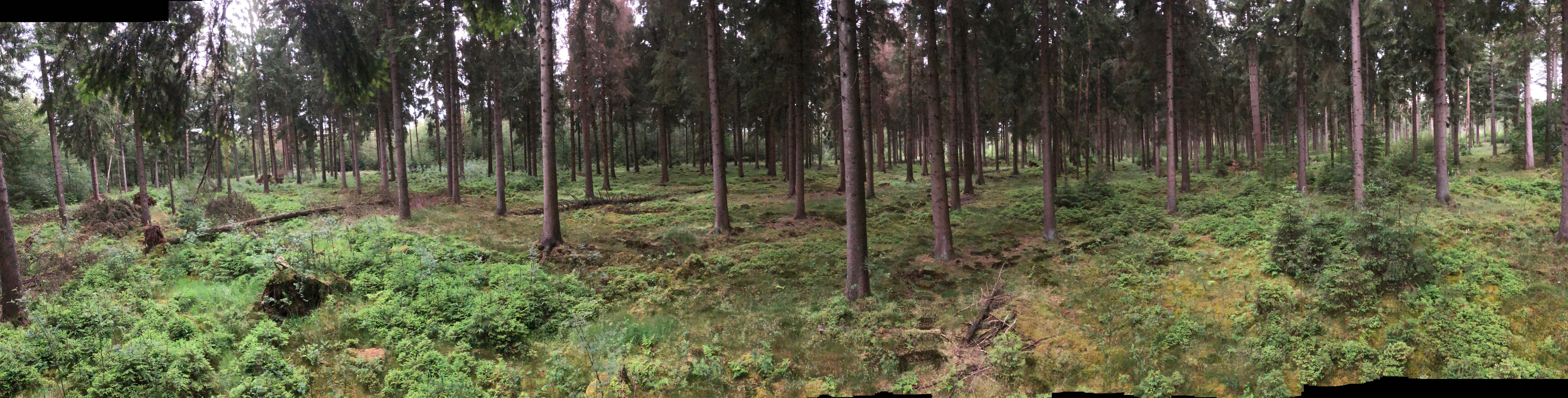 Drenthe