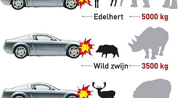 KJV #14 - Eén dood ree is een ramp, 10.000 doden een getal