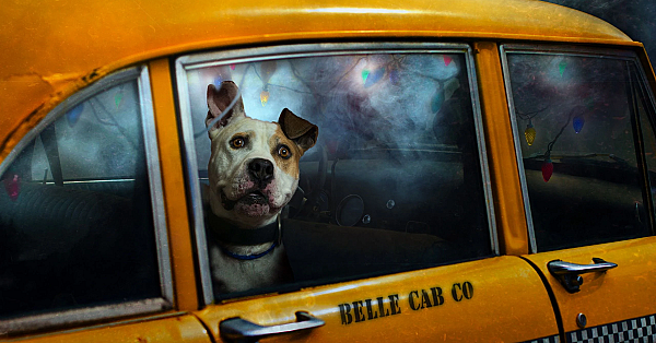 KJV #25 - Taxi