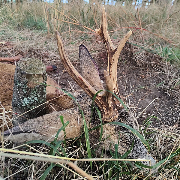 Der 1. Mai.  Auf, Auf zum Bock.