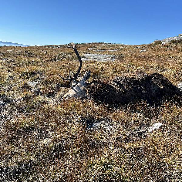 #401 De laatste…