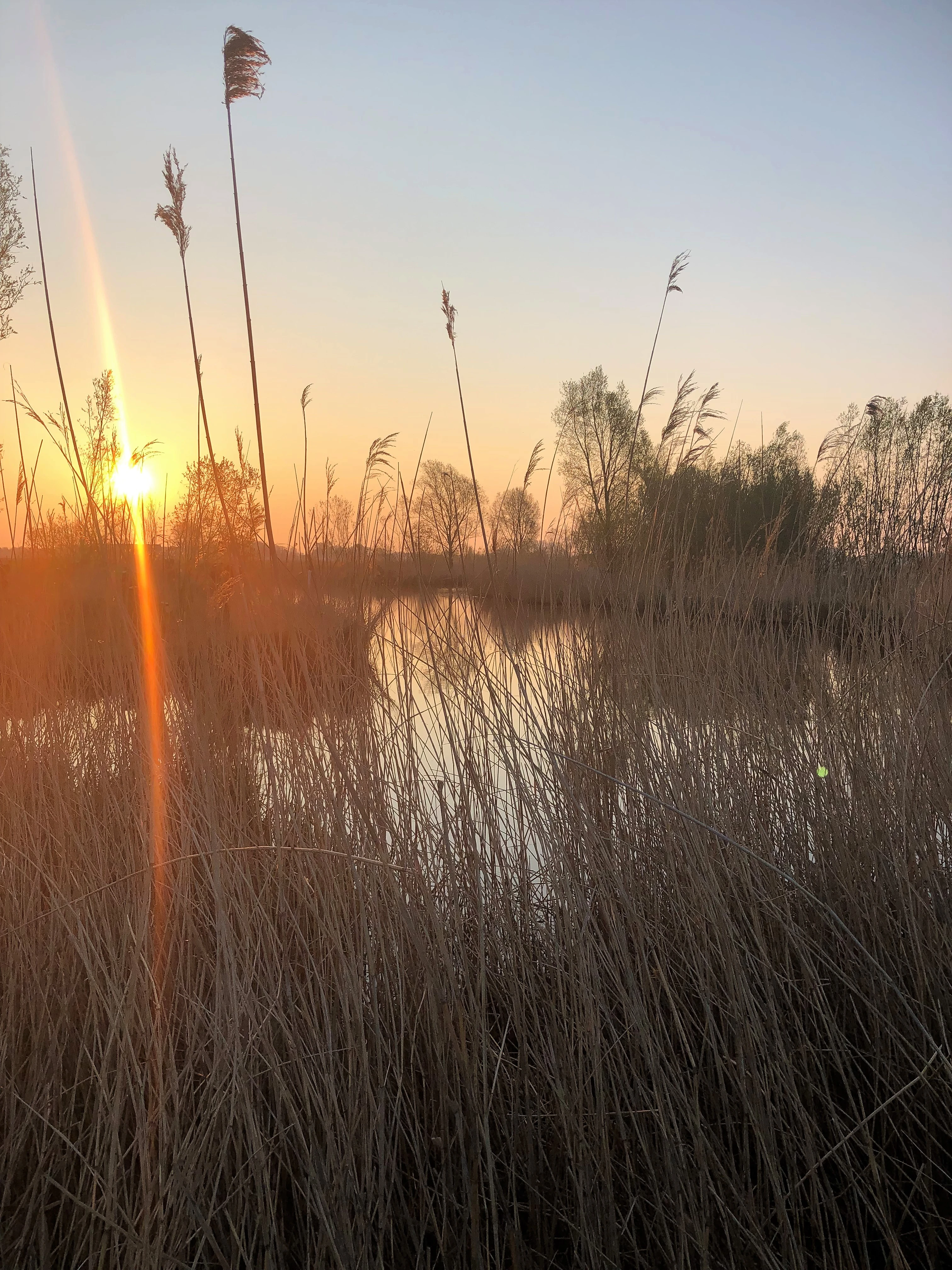 Zonsopgang