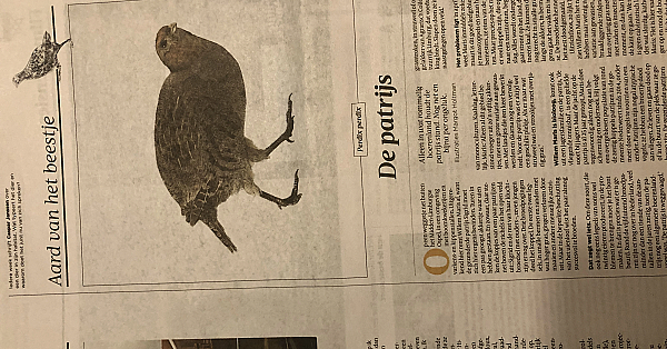 Waar zijn de patrijzen?