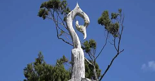 Josh James - Kiwi Bushman